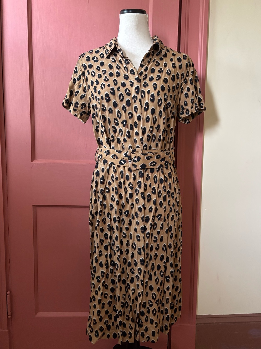 A New Day • Animal Print Midi Dress